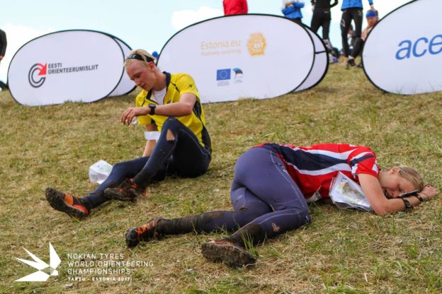 18423159_1190641954394535_1770186481375341642_o