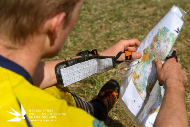 18423237_1190642461061151_3028103467374617436_o